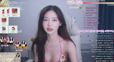 팬더 비제이 문복희 비키니 꼭노
